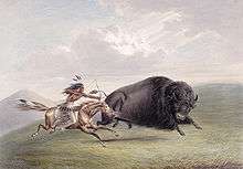 One of the biggest issues facing the move west was the destruction of the buffalo. The buffalo was worshiped by the Native Americans, however they thought the settlers were wasteful and careless with this animal.