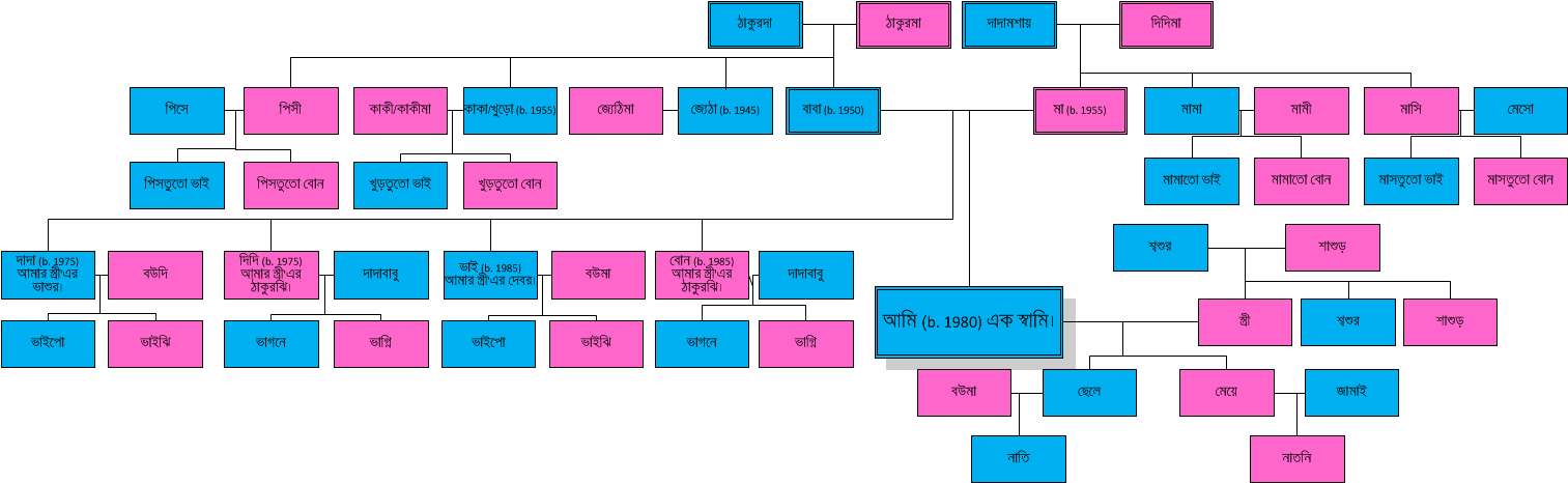 Family tree, with names of members in Bengali.