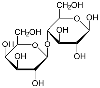 Lactose
