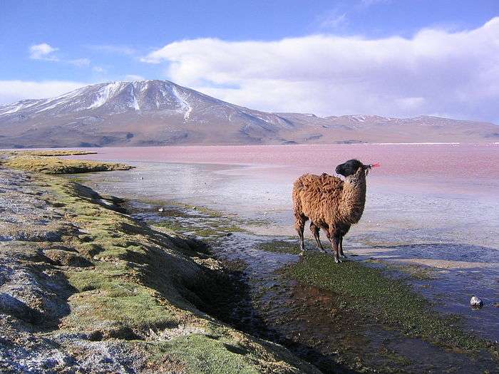 A photo of Bolivia