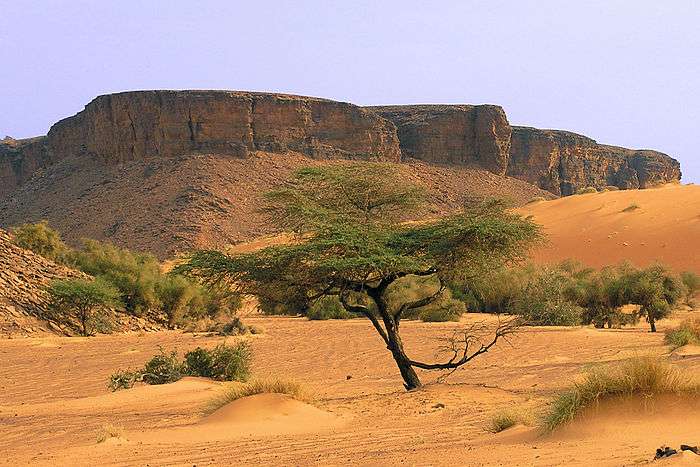 A photo of Mauritania