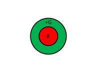 Spectrally and spatially antagonist receptive fields (off center)