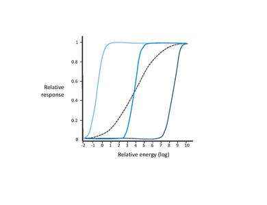 Light adaptation. For a given scene, the solid lines represent families of visual response curves at different (relative) energy levels. The dashed line represents the case where we would adapt in order to cover the entire range of illumination, which would yield limited contrast and reduced sensitivity.