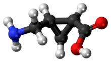 (+)-CAMP molecule