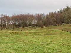 The site of Milecastle 29