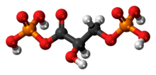 1,3-Bisphosphoglyceric acid molecule