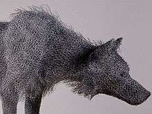 Detailed photo of the head of a timber wolf made by Kendra Haste in which the details of individual wires can be seen.