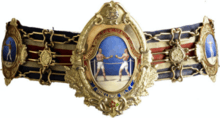 This image depicts the Original Challenge belt design, as described in Origin.