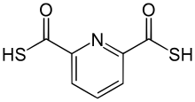 Skeletal formula of 2,6-pyridinedicarbothioic acid