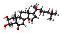 Ball-and-stick model of the 20-hydroxyecdysone molecule