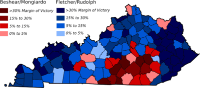 Image showing electoral support for candidates by county