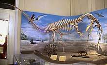 Dinosaur skeleton against a painted backdrop