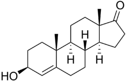 Skeletal formula of 4-dehydroepiandrosterone