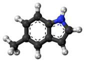Ball-and-stick model of the 5-methylindole molecule