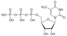 Skeletal formula of 5-methyluridine triphosphate