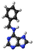 Ball-and-stick model of the 6-benzylaminopurine molecule