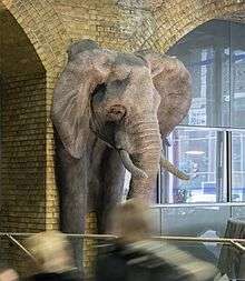 The elephant at Waterloo Station between two arches.
