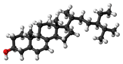 Ball-and-stick model of 7-dehydroepisterol