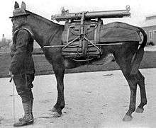 1921 photo of U.S. soldier and pack animal carrying components of a mountain howitzer.