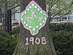 Alpha Kappa Alpha tree at Howard University.