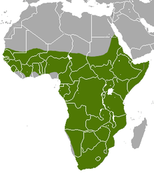 Map of Africa showing a highlighted range (in green) covering most of the continent south of the Sahara desert