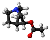 Ball-and-stick model of the aceclidine molecule