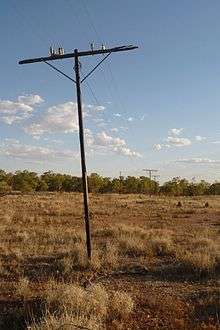 An old wooden telegraph pole standing in a semi-desert grassland plain with low scrub in the distance