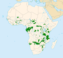 Map of African, showing a highlighted range (in green) with many fragmented patches scattered across the continent south of the Sahara Desert.