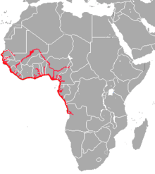 Map of Africa showing highlighted range along the western coast from Mali south to Angola and in portions of river systems