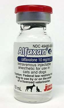 Bottle of Alfaxan; contains an opaque white liquid