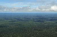 Aerial view of the Amazon Rainforest, near Manaus.