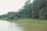 Amazon River in Amazon Rainforest.