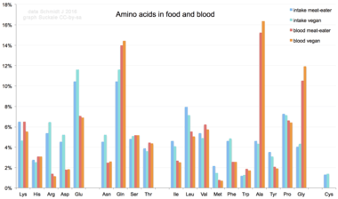 Diagram showing the relative occurrence of different amino acids in blood serum as obtained from different diets