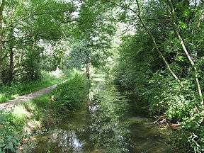Wooded canal in summer, with footpath