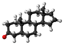 Ball-and-stick model of the androstenone molecule
