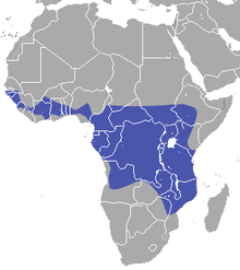 Middle and Western Africa