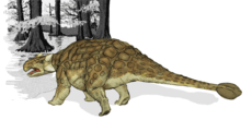 Semi-posterior view of Ankylosaurus, with tail club prominent