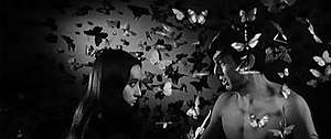 A shirtless man shouts at a woman. Dozens of butterflies are pinned to the wall behind them and drapped from the ceiling in front.