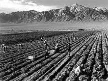 A black-and-white photography shows farm workers with Mt. Williamson in background.