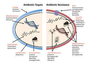 Infographic showing mechanisms for antibiotic resistance