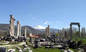 Some columns are still standing among the ruins of Aphrodisias. A snow-capped mountain can be seen in the background.