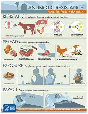 Infographics showing antibiotic resistance from the farm to the table