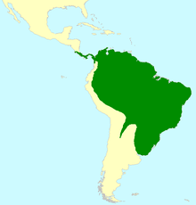 A map showing South America and Central America. A green colour covers the southern portion of Central America and most of South America, except the western coast and the southern portion of the continent.