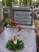 Armand Vetulani and his family grave at Milanówek cemetery.