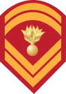 Insignia of a permanent Hellenic Land Army Sergeant.