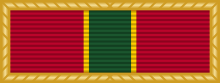 A red ribbon with a vertical green stripe running down the center