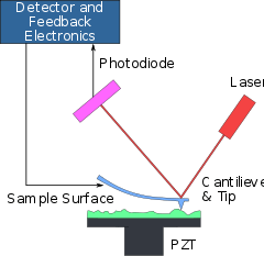 A Atomic Force Microscope