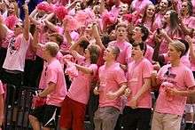 a crowd of people in pink cheer furing a Dig Pink Rally.
