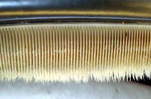 Photo displaying dozens of baleen plates. The plates face each other, and are evenly spaced at approximately 0.25 inches (1&nbsp;cm) intervals. The plates are attached to the jaw at the top, and have hairs at the bottom end.