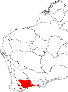 map of Western Australia with red area in the south of the state